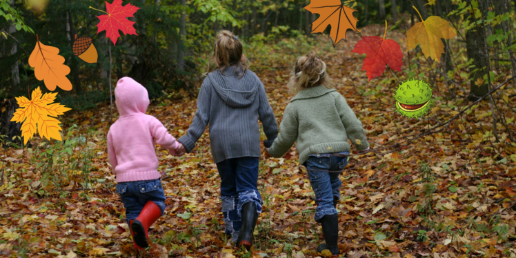 Kinder wandern im Wald. Bunte Blätter rundherum. 