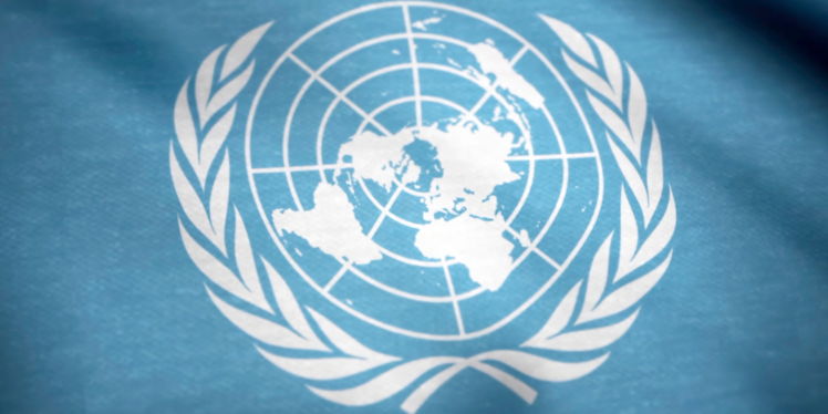 Die UN Flagge